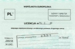 Read more about the article Licencja dla Busów – Brak Licencji to 12 tys. zł kary i ryzyko utraty dobrej reputacji